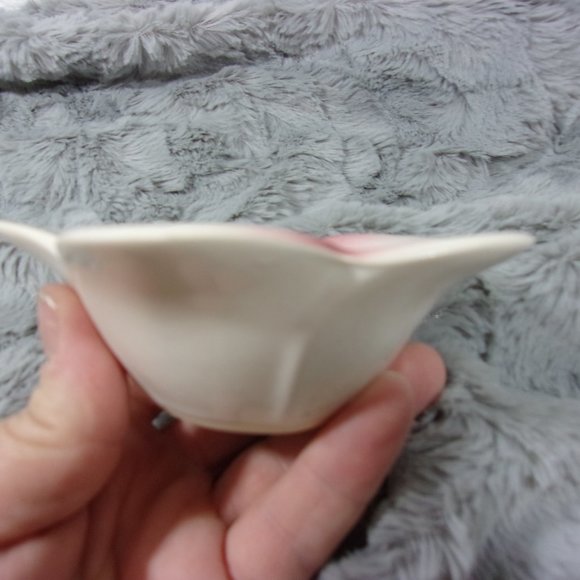 COPY - H-30 TROPICAL CLAY HAWAII PLUMERA CERAMIC TRINKET BOWL - Picture 5 of 8